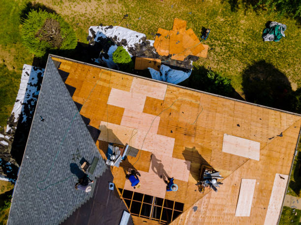 Best Roof Gutter Cleaning  in Sandoval, IL