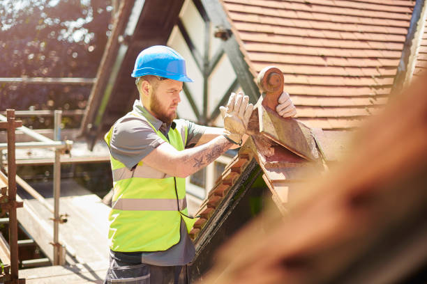 Best Local Roofing Companies  in Sandoval, IL